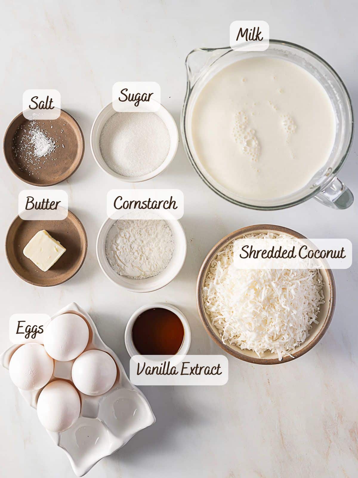 Top-down view of ingredients for coconut pudding, with bowls and cups labeled milk, salt, sugar, butter, cornstarch, shredded coconut, eggs, and vanilla extract on a white surface.