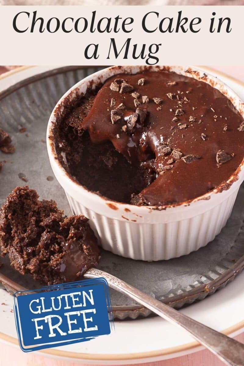 A gluten free chocolate mug cake in a white ramekin, topped with melted chocolate and cocoa nibs, with a spoonful removed; labeled gluten free.