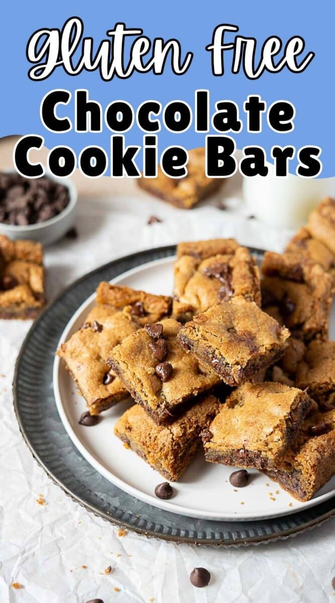A plate of freshly baked gluten free chocolate cookie bars is shown, topped with chocolate chips, surrounded by more bars and a small bowl of chocolate chips.