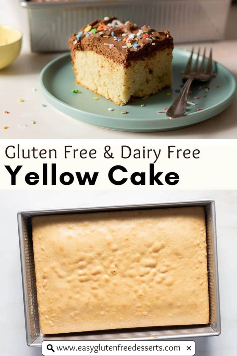 A slice of gluten free yellow cake with chocolate frosting and sprinkles sits on a plate with a fork, above a pan of the baked cake