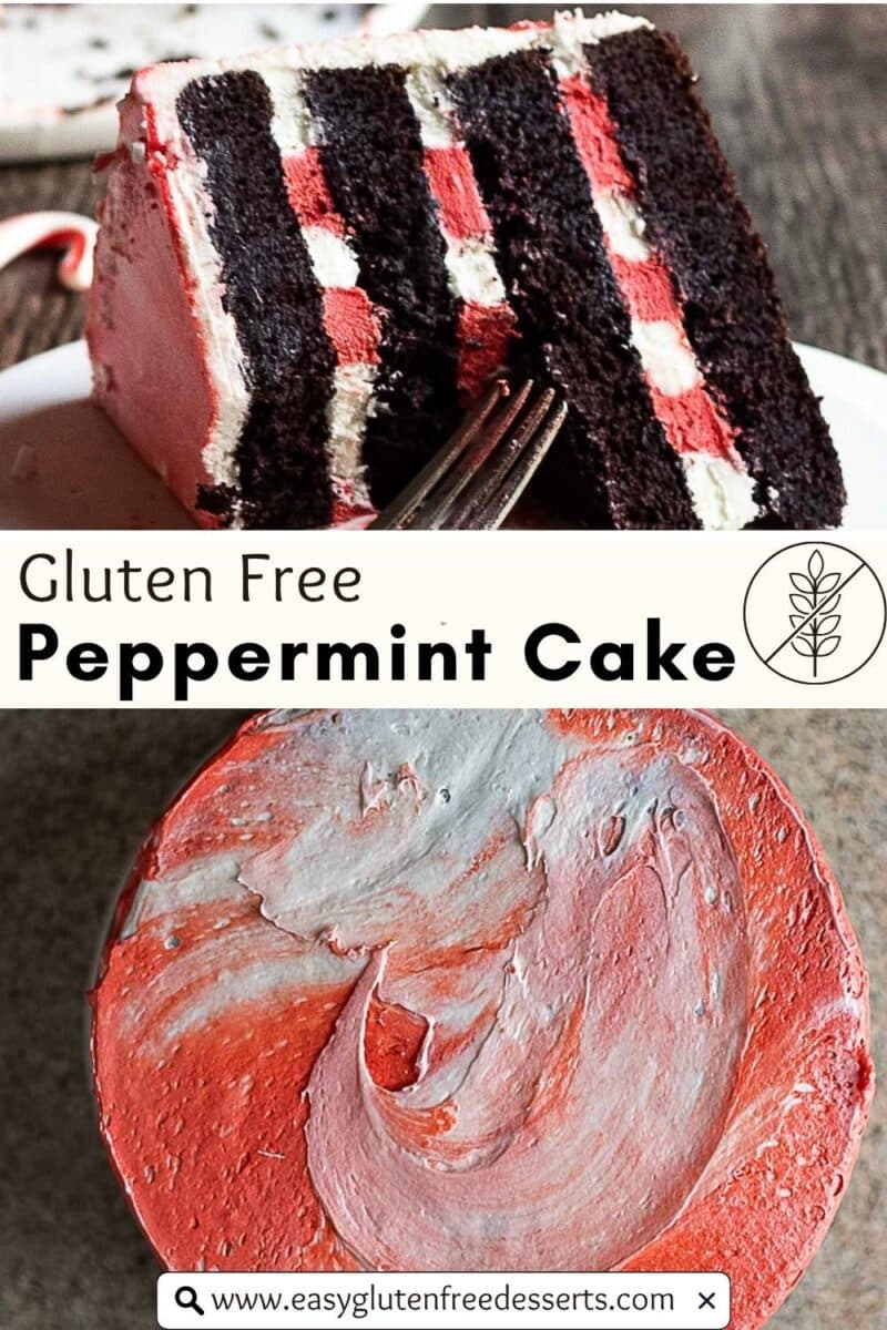 A slice of gluten free peppermint cake with dark chocolate layers and red and white swirled frosting; whole gluten free peppermint cake with red and white marbled icing also shown.