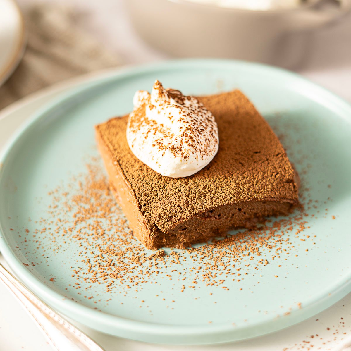 A square piece of 3 ingredient chocolate cake topped with whipped cream and cocoa powder sits on a light blue plate.